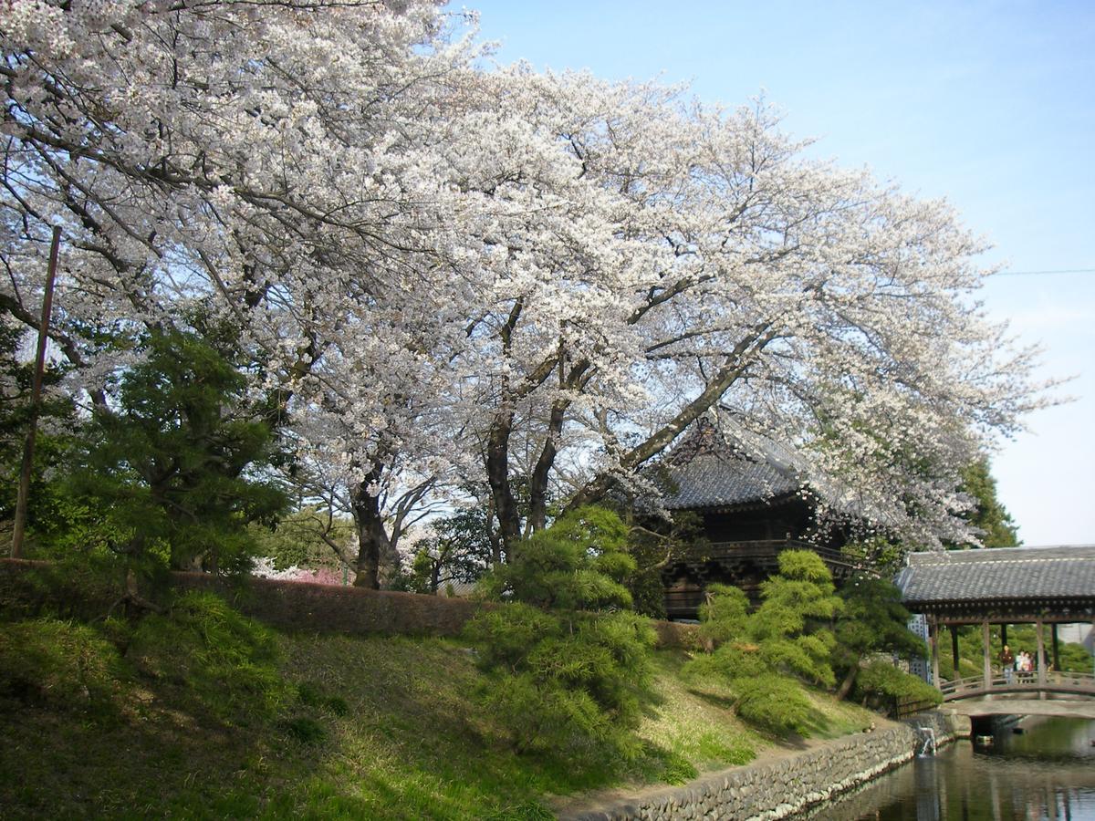 ホテル わかさ 足利市 エクステリア 写真