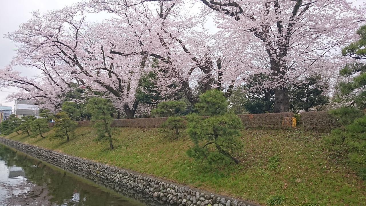 ホテル わかさ 足利市 エクステリア 写真