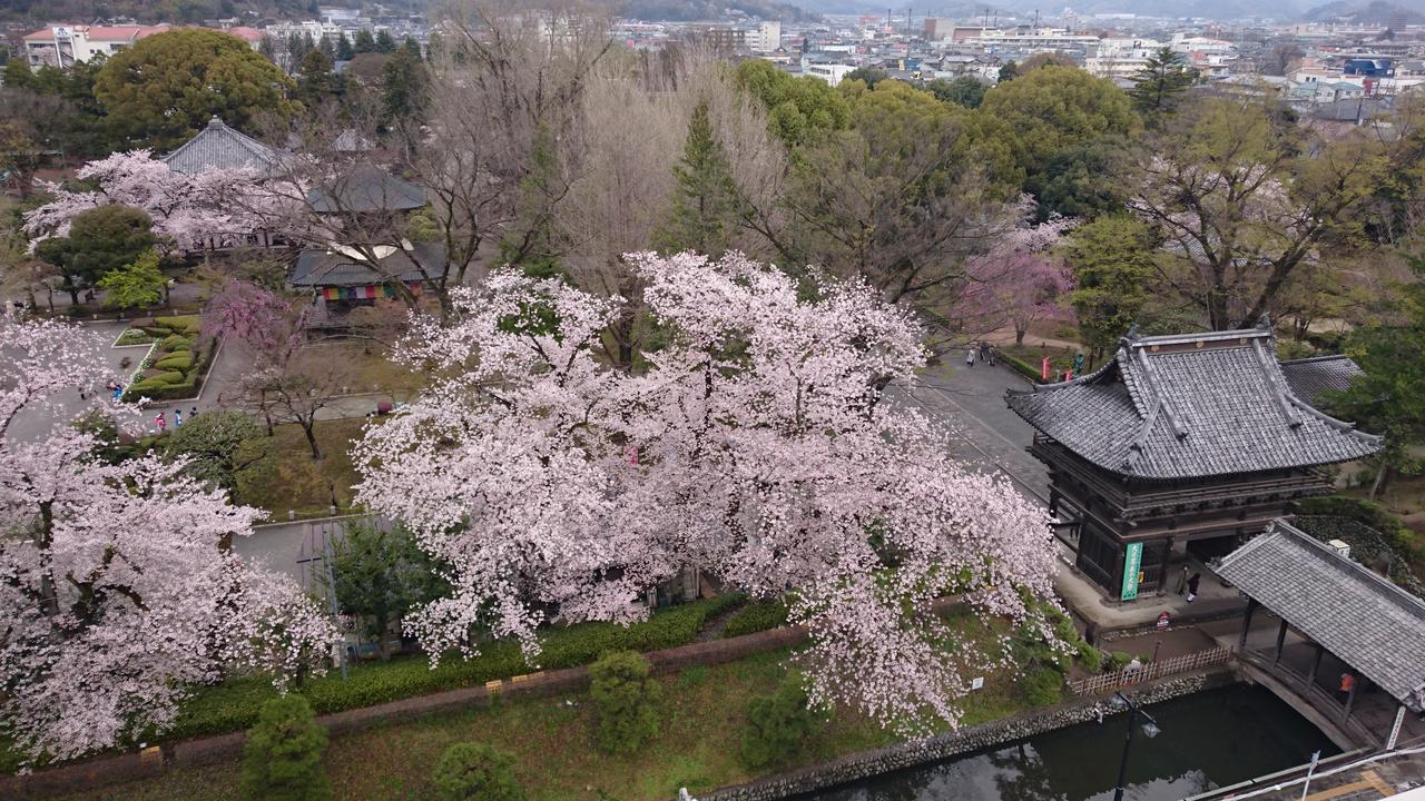 ホテル わかさ 足利市 エクステリア 写真